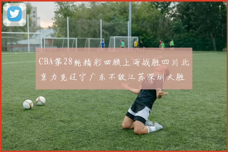 CBA第28轮精彩回顾上海战胜四川北京力克辽宁广东不敌江苏深圳大胜新疆