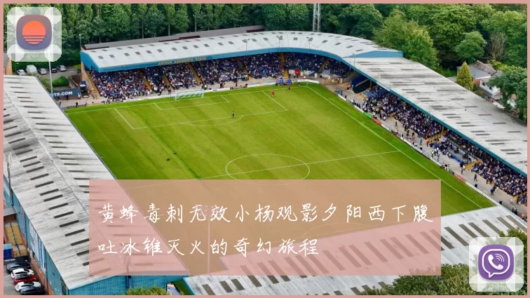 黄蜂毒刺无效小杨观影夕阳西下腹吐冰锥灭火的奇幻旅程