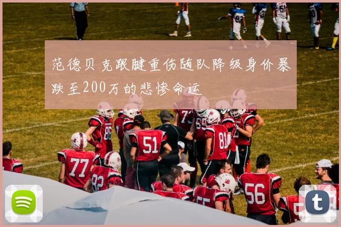 范德贝克跟腱重伤随队降级身价暴跌至200万的悲惨命运